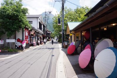 九州3名湯と感動の18景の旅(6)---原尻の滝・別府・湯布院