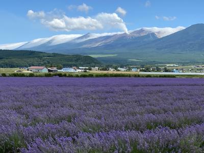 富良野盆地ラベンダー畑めぐり2022, その１