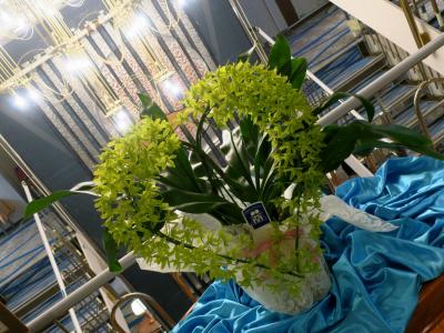 にっぽん丸 夏クルーズ ~宮崎・宿毛~ (1~2日目): 9年ぶりに見る日南花火。