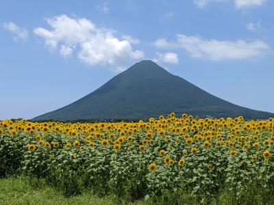 2022鹿児島(指宿)旅行