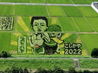 こしがや田んぼアート☆珈琲処 晴れ晴れ☆2022/07/29