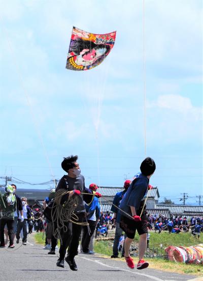 ２０２２新潟「 美人林の根開き から 白根凧合戦 」の旅＜十日町・長岡・見附・小千谷・五泉・魚沼・南魚沼・加茂・新潟＞