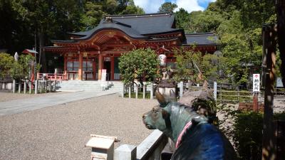 夏の風物詩　蓮と風鈴の神社巡り【1】長岡天満宮