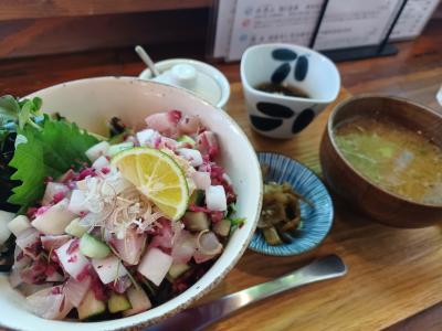 1人のんびり箱根で温泉♪