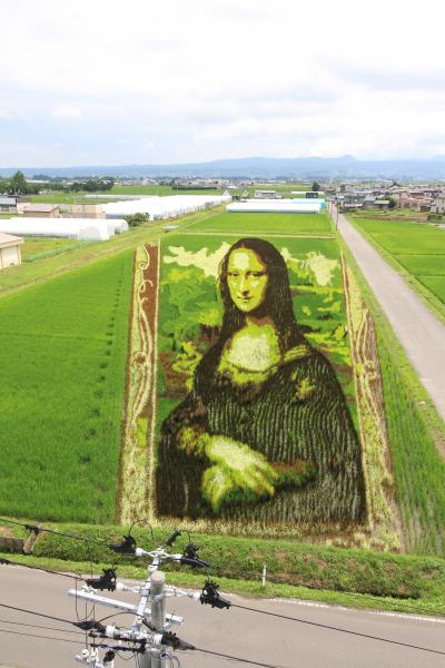 法事で秋田・青森　４泊５日の旅　その３　田舎館村・弘前編　田んぼアート鑑賞