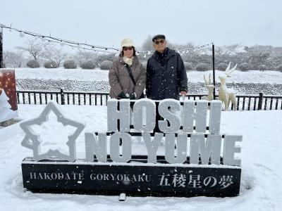 【函館2日目】雪の函館をタクシーチャターで