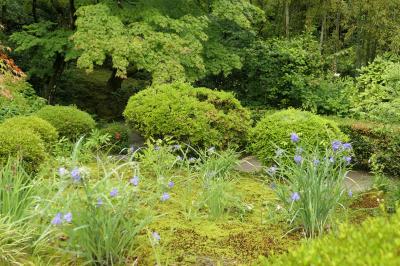 初夏の三重・奈良・京都♪　Vol.247 ☆美しい庭園「詩仙堂丈山寺」♪