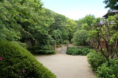 初夏の三重・奈良・京都♪　Vol.248 ☆美しい庭園「詩仙堂丈山寺」♪