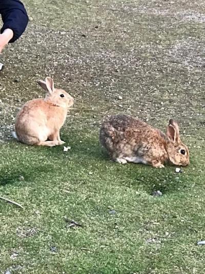 しまなみ海道　竹原～大久野島