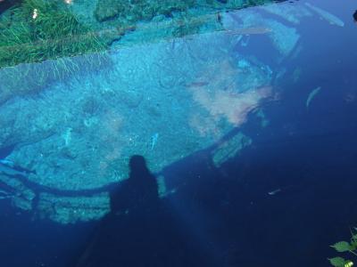 碧い湧き池　忍野八海