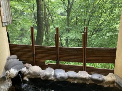 盛夏の四万温泉ー湯の宿山ばと・くれない旅館ー