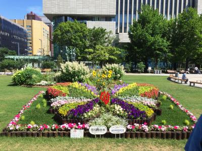 札幌大通公園　ガーデンフェスタ北海道2022　花フェスタ札幌2022　バラ園