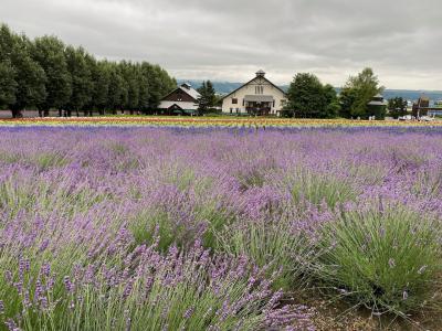 キャンピングカーで爆走！北海道家族旅行　その2