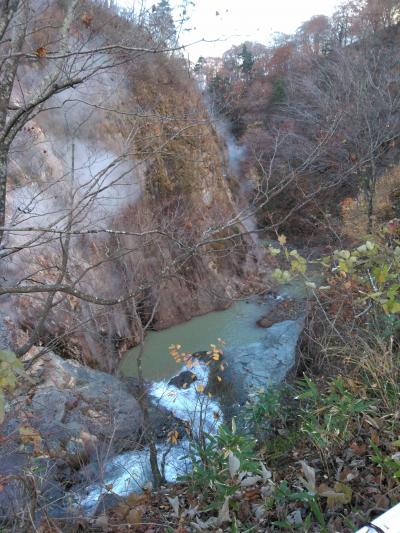 2021ANAマイル特典で岩手湯めぐり(1)~網張、滝ノ上、繋~