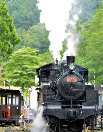 ＳＬ探しに北海道1/2