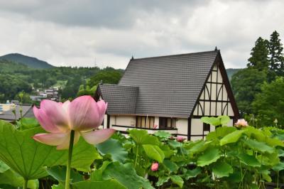 恵那・明智町の大正村～中津川の阿木のハスへ　