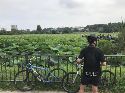 2022年7月23日　東京早朝サイクリング　東京タワー、不忍池のハス、スカイツリー