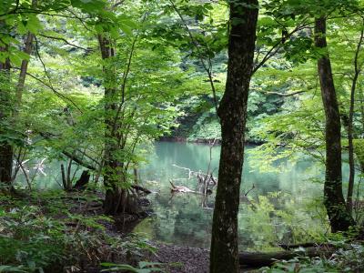 東北・道南旅行（一）五能線に沿ってドライブ (2022年7月下旬)