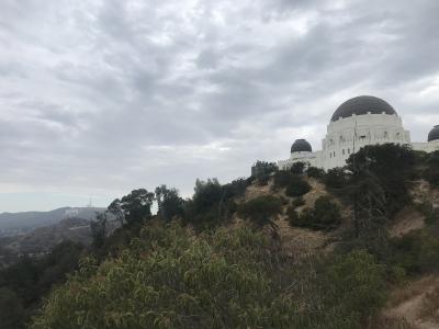 朝のグリフィスパークの散歩再び