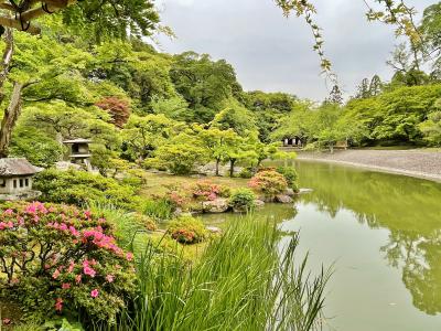 新緑がまぶしい初夏の京都巡り☆1日目