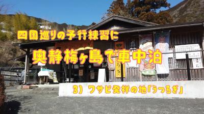 奥静の梅ヶ島で車中泊　３）ワサビ発祥の地「うつろぎ」