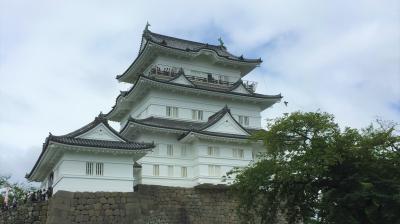 【2017.8 小田原】~地球博物館/小田原城~【47都道府県一人旅 #3 神奈川編】