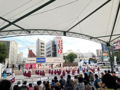 47都道府県全制覇を目指す旅④ [高知県 高知]