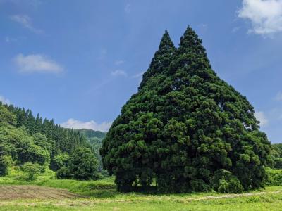 レンタカーで行く東北縦断★女一人旅～その4　山形・国宝とトトロを訪ねる旅～