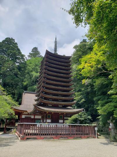 母・弟と行く猛暑の談山神社～奈良から広島平和記念日のお参りをしてきました( &#9696;&#8255;&#9696; ) 