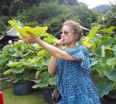 蓮酒　　三室戸寺