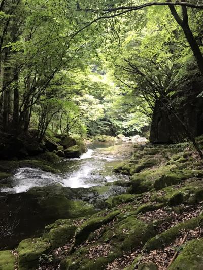 ★マイナスイオンでリフレッシュ 奈良県、三重県の県境にある赤目四十八滝