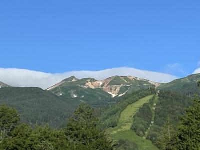 乗鞍岳(畳平)で夏の可憐な花々を楽しむ旅！真っ白の温泉も堪能！( こだま旅館　)