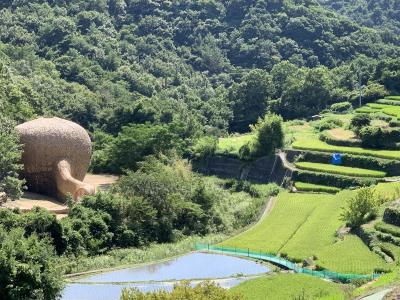 小豆島に　悪友らが　呑みに来て　観光しろと言う