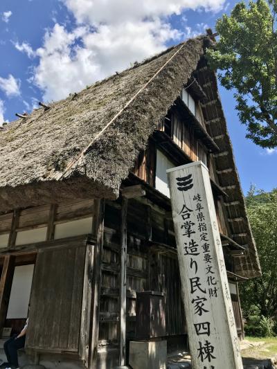 家族旅行（妻と2人）2022年7月 IN 岐阜～長男の試合観戦ついでに旅行～2日目