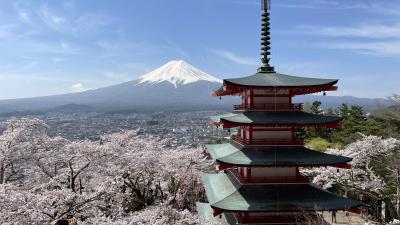 桜満開！富士山と五重の塔＠富士吉田市、新倉富士浅間神社