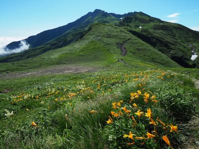 まだ見ぬ東北の自然再発見の旅その2　百花繚乱！鳥海山登山後編　千蛇谷コースで新山へ