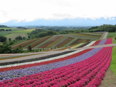 ぼっちトラベラー　ラベンダーを見に3泊4日の一人旅「転・結」編