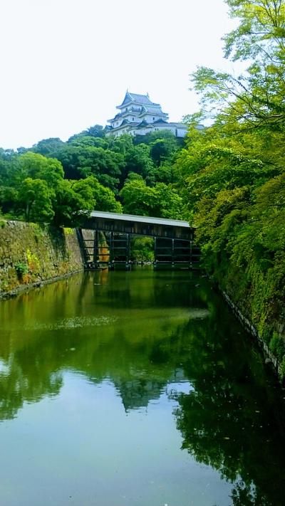 猛暑だけど頑張りました！旅⑨　和歌山・白浜～和歌山城