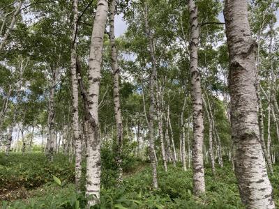 初めての犬連れ旅行・長野県/リゾートホテル蓼科Vol2