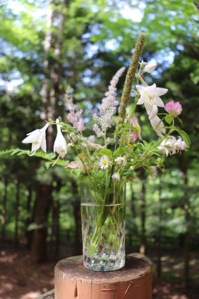 軽井沢より夏のお便り　①