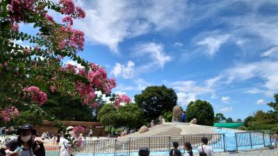 舎人公園ソリとじゃぶじゃぶ池と冒険の丘（2022年8月）