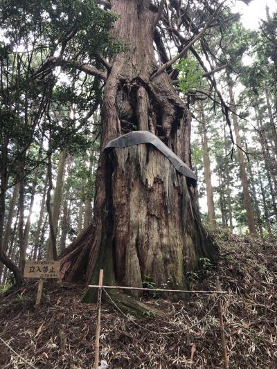 三河続100名城吉田城・古宮城と亀山城