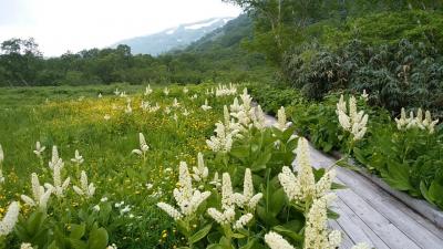 白馬岳登山