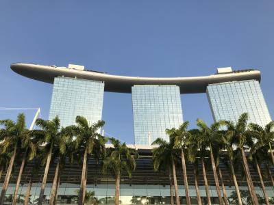 2019.8　シンガポール☆ジョー・チアット・ロードのプラナカン建築