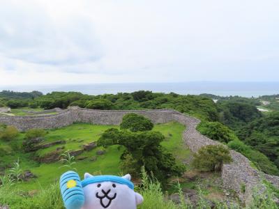【2022.7】沖縄に行ってきたにゃ！４日目（美ら海水族館、今帰仁城跡）