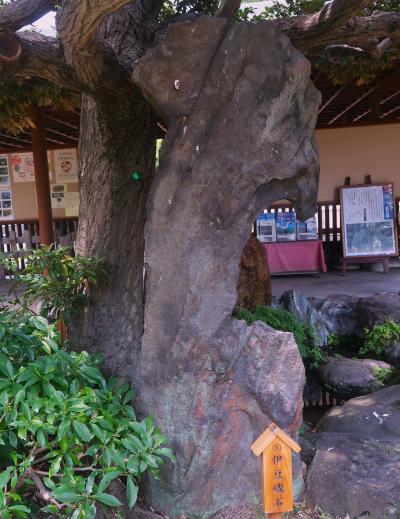 木場 東陽町 清澄に関する旅行記 ブログ フォートラベル 東京