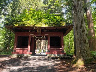 202206善光寺御開帳～戸隠神社2