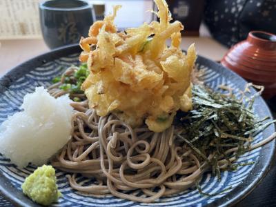 お仕事松江・ちょこっと駆け足観光①前泊の岡山から特急やくもで島根へ