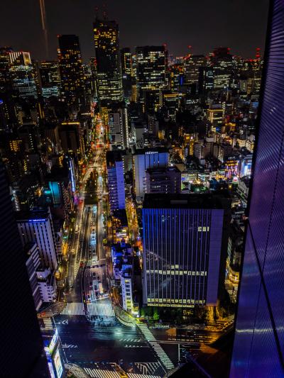 パークホテル東京滞在記&新橋探索