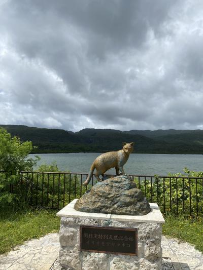 去年のリベンジ！ひとり旅　八重山　その２